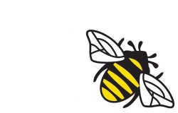 brentfordbee